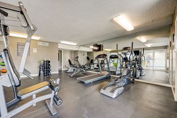 fitness center at The Residences at Soho at 4009 N Howard Ave in Tampa, Florida